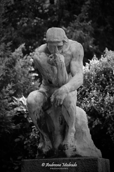 15312237508_95fe7de6b6_k