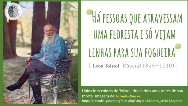 Leon Tolstoi - Floresta